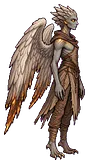 Jeras Dunhall